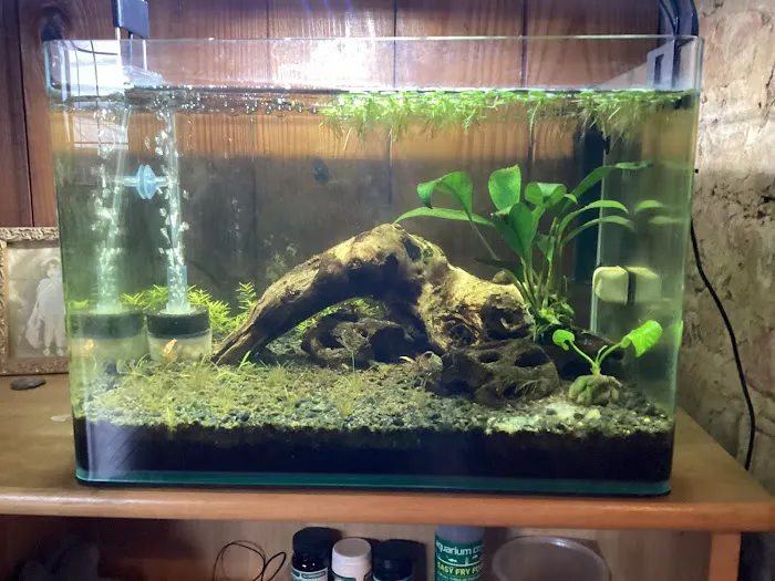 Aquatic Arts Picture 10