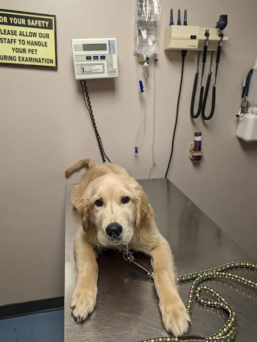 Bradford Veterinary Clinic Picture 8