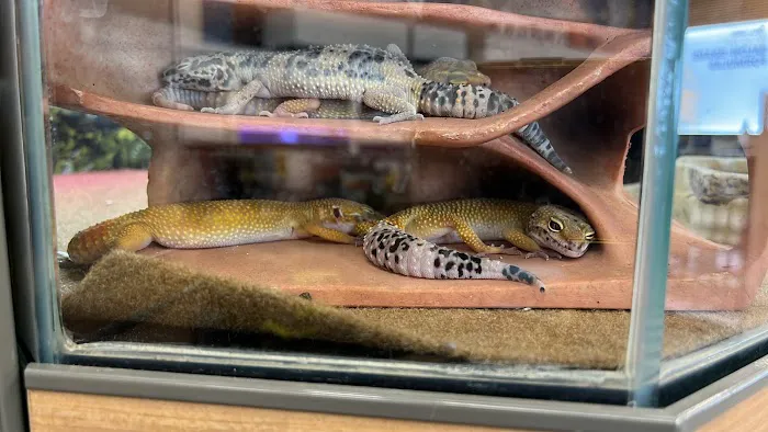 Petco Picture 5