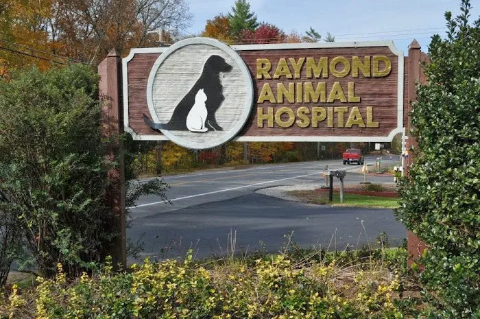 Raymond Animal Hospital Picture 3