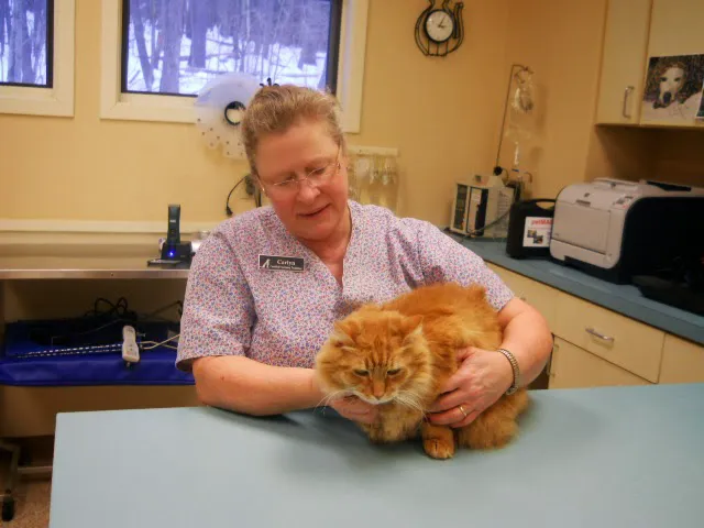 Raymond Animal Hospital Picture 5