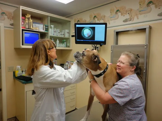 Raymond Animal Hospital Picture 2
