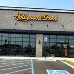 Hollywood Feed