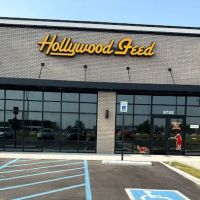 Hollywood Feed ico