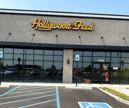 Hollywood Feed