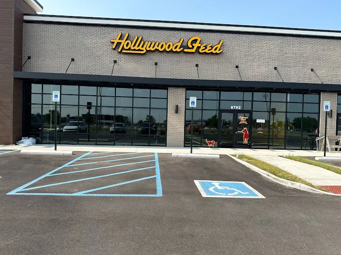 Hollywood Feed Picture 5