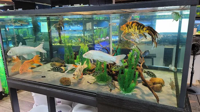 The Reef Aquarium Shop Picture 1
