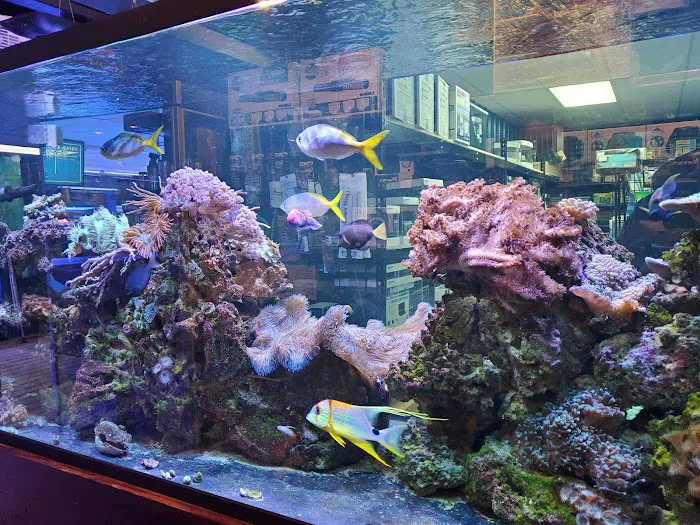 The Reef Aquarium Shop Picture 2