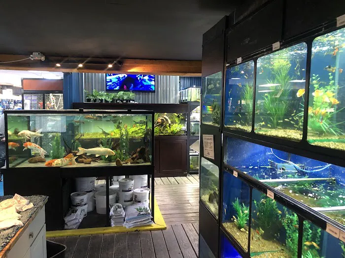 The Reef Aquarium Shop Picture 7
