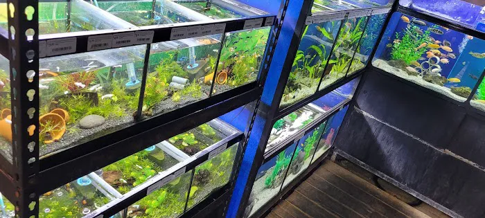 The Reef Aquarium Shop Picture 9