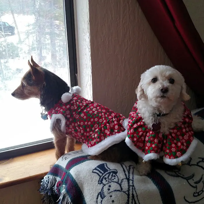 Black Rocks Animal Hospital Picture 5