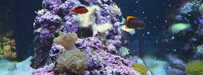 Abyss Systems Inc Picture 1