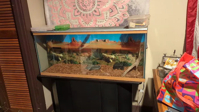 Scales N Tails Exotic Pet Supply Picture 1