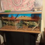 Scales N Tails Exotic Pet Supply