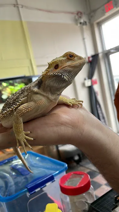 Scales N Tails Exotic Pet Supply Picture 7