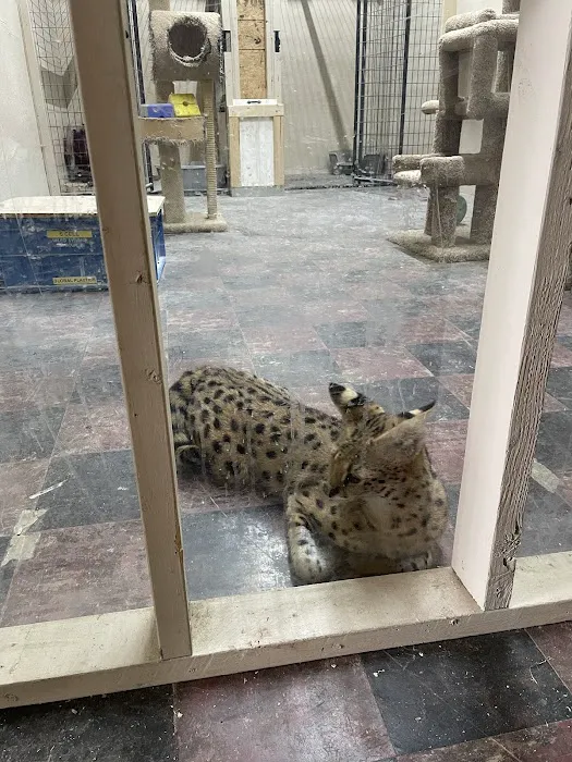 Scales N Tails Exotic Pet Supply Picture 6
