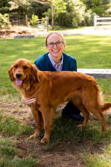 Cornerstone Veterinary Hospital Picture 1