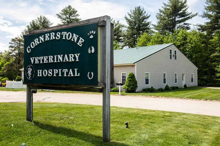Cornerstone Veterinary Hospital Picture 5