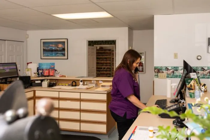 Cornerstone Veterinary Hospital Picture 8