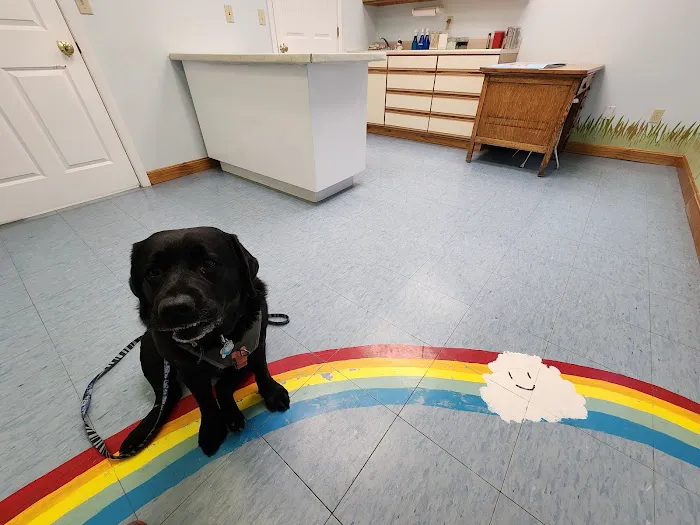 Cornerstone Veterinary Hospital Picture 9
