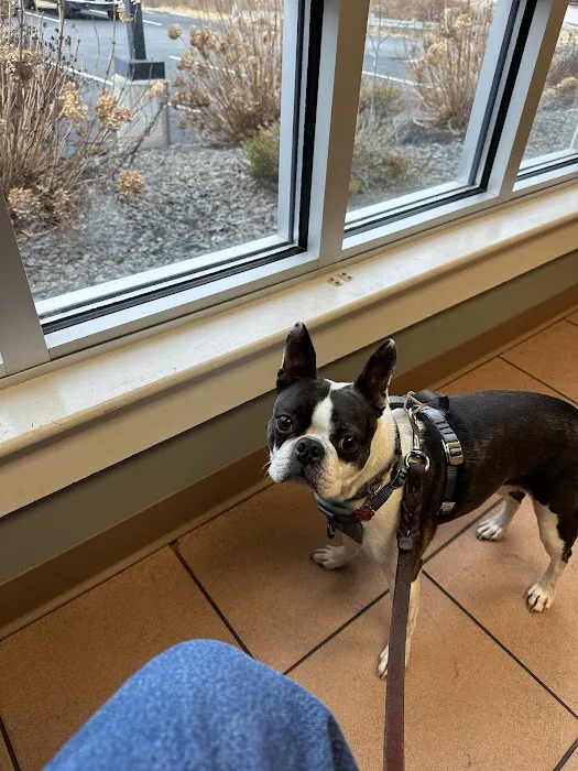 Hampstead Animal Hospital Picture 1