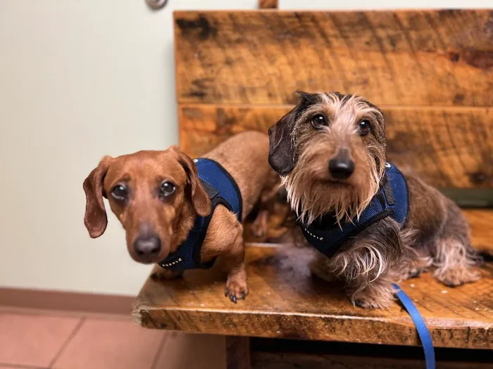 Hampstead Animal Hospital Picture 8