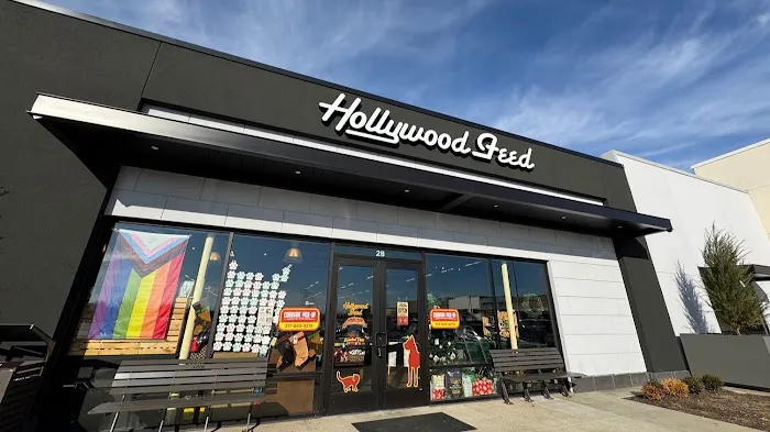 Hollywood Feed Picture 3