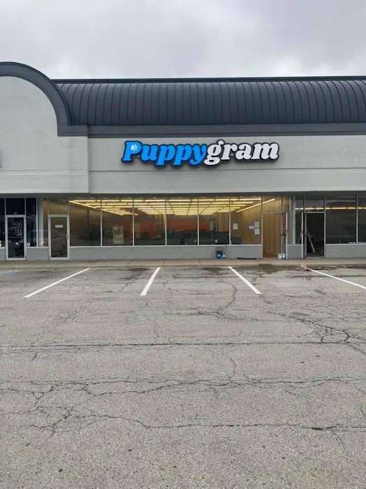 Puppygram Indiana Picture 3