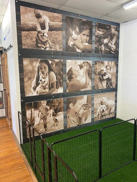 Puppygram Indiana Picture 2