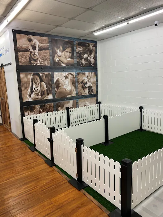 Puppygram Indiana Picture 6