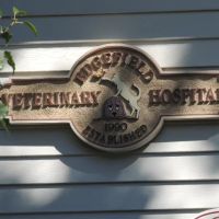 Edgefield Veterinary Hospital, LLC ico