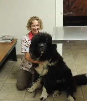 Edgefield Veterinary Hospital, LLC Picture 6