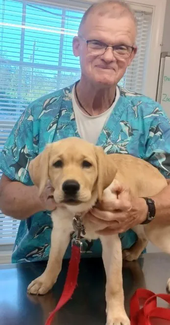 Edgefield Veterinary Hospital, LLC Picture 5