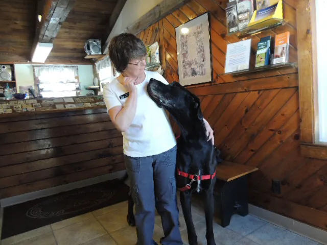 Edgefield Veterinary Hospital, LLC Picture 7