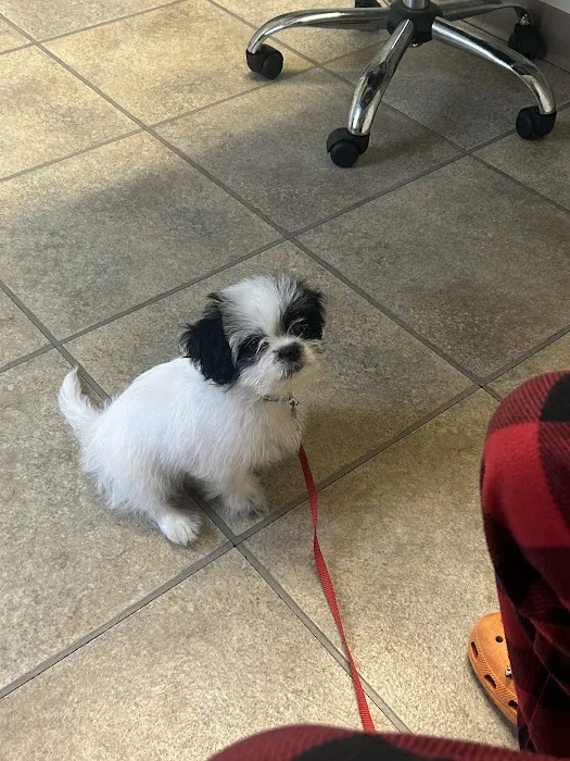 Edgefield Veterinary Hospital, LLC Picture 10