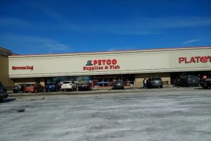 Auto Service Center