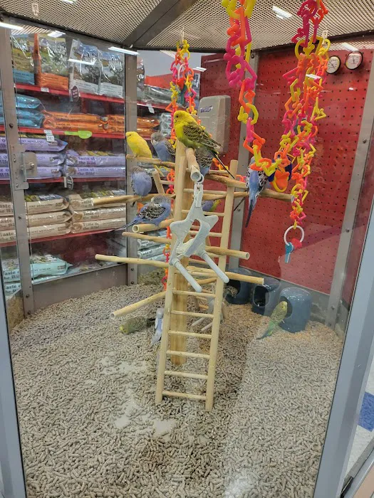 Petco Picture 3