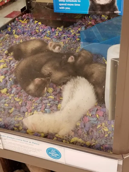 Petco Picture 4