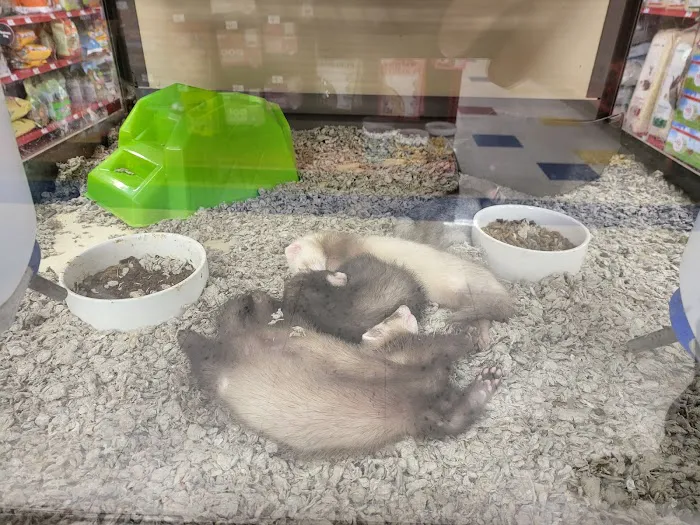 Petco Picture 9
