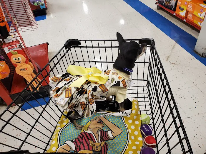 Petco Picture 8