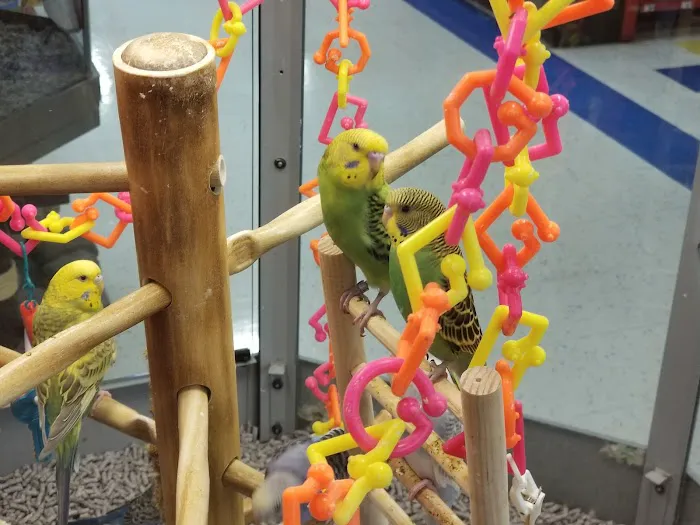 Petco Picture 10