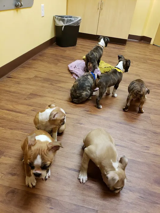 Randolph Regional Veterinary Hospital Picture 3