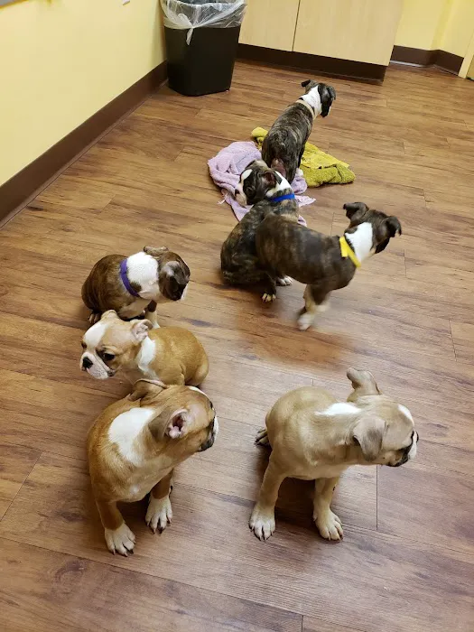 Randolph Regional Veterinary Hospital Picture 10