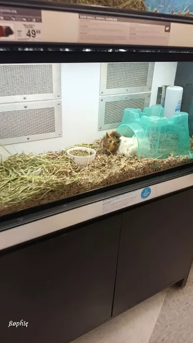 Petco Picture 6