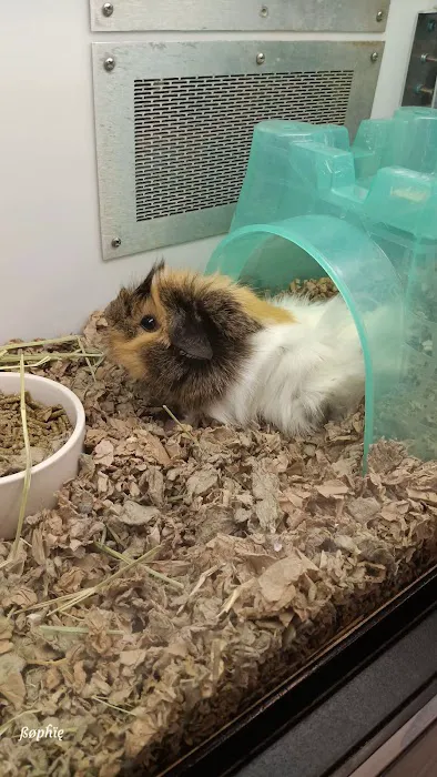 Petco Picture 4