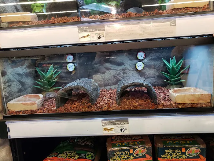 Petco Picture 9