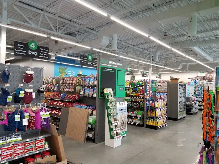 Pet Supplies Plus Whitestown Picture 1