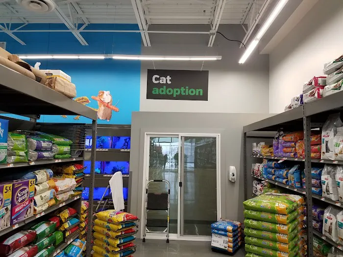 Pet Supplies Plus Whitestown Picture 8