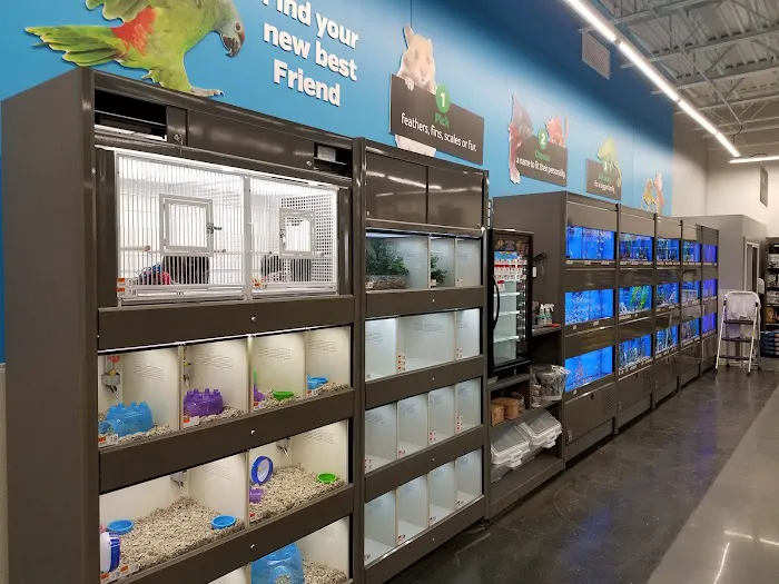 Pet Supplies Plus Whitestown Picture 7