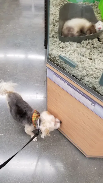 Petco Picture 2